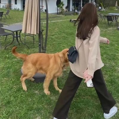 恋恋红尘